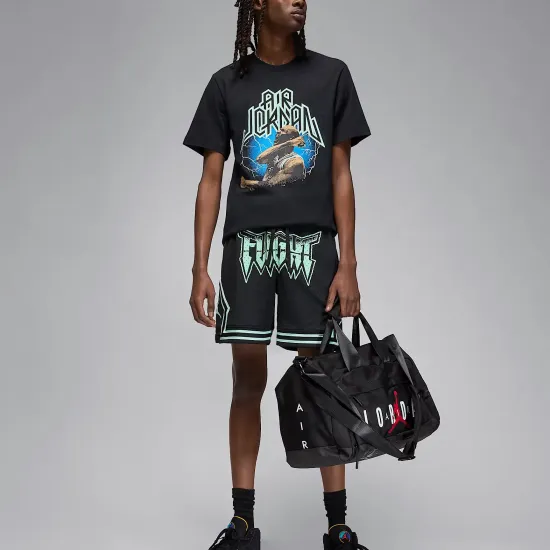 Футболка Nike Air Jordan Sport Dri-FIT Graphic FN6016-010
