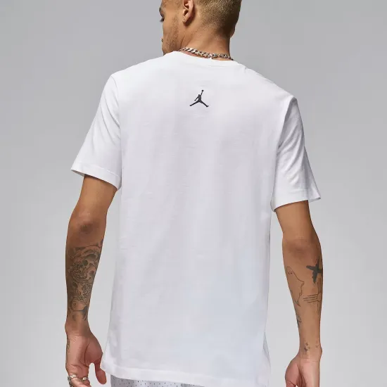 Футболка Nike Air Jordan Sport Dri-FIT Graphic FN6016-100