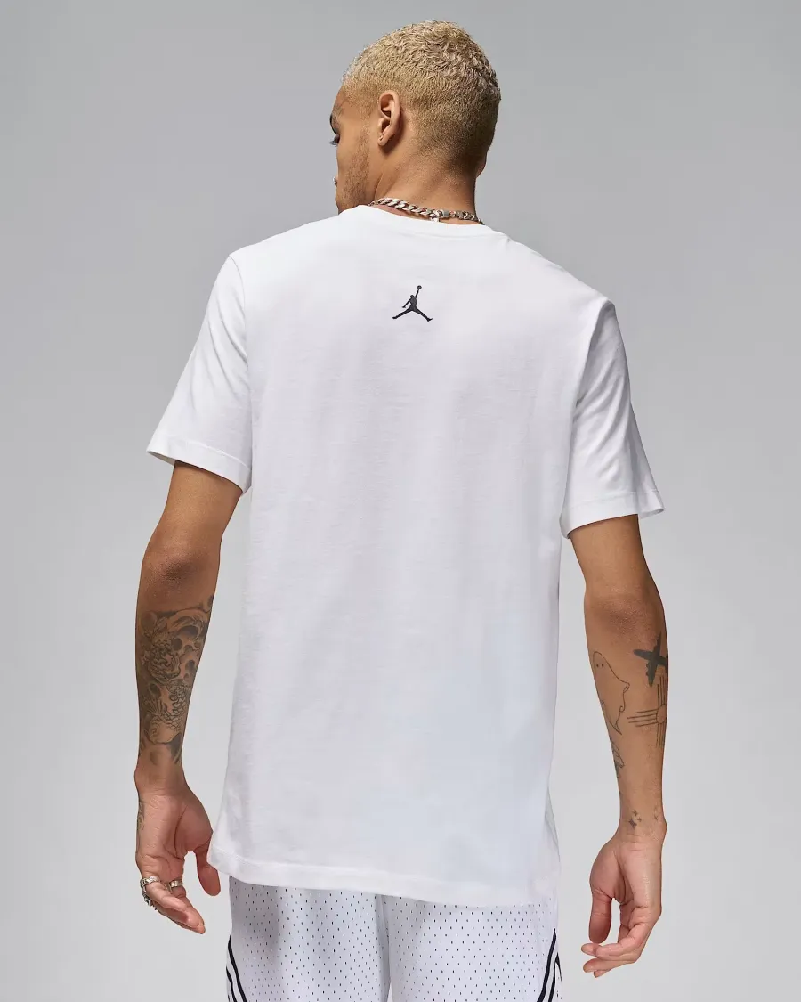Футболка Nike Air Jordan Sport Dri-FIT Graphic FN6016-100