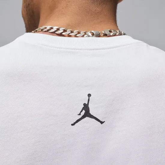 Футболка Nike Air Jordan Sport Dri-FIT Graphic FN6016-100