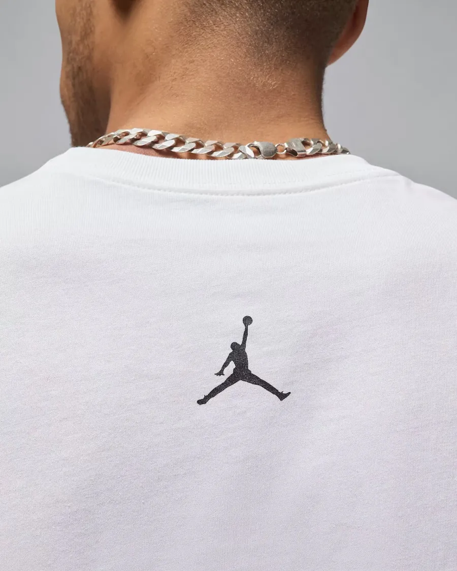 Футболка Nike Air Jordan Sport Dri-FIT Graphic FN6016-100