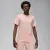 Футболка Nike Air Jordan Brand Logo Stack FN6027-622