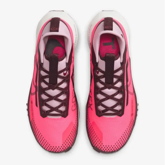 Кросівки Nike Pegasus Trail 4 Gore-Tex FN7769-600