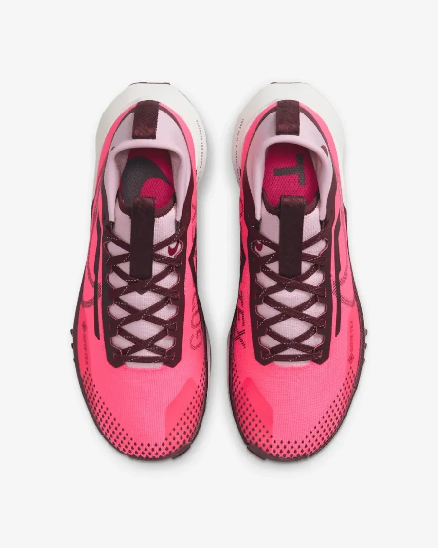 Кросівки Nike Pegasus Trail 4 Gore-Tex FN7769-600