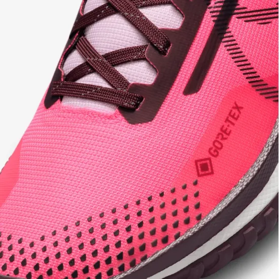Кросівки Nike Pegasus Trail 4 Gore-Tex FN7769-600