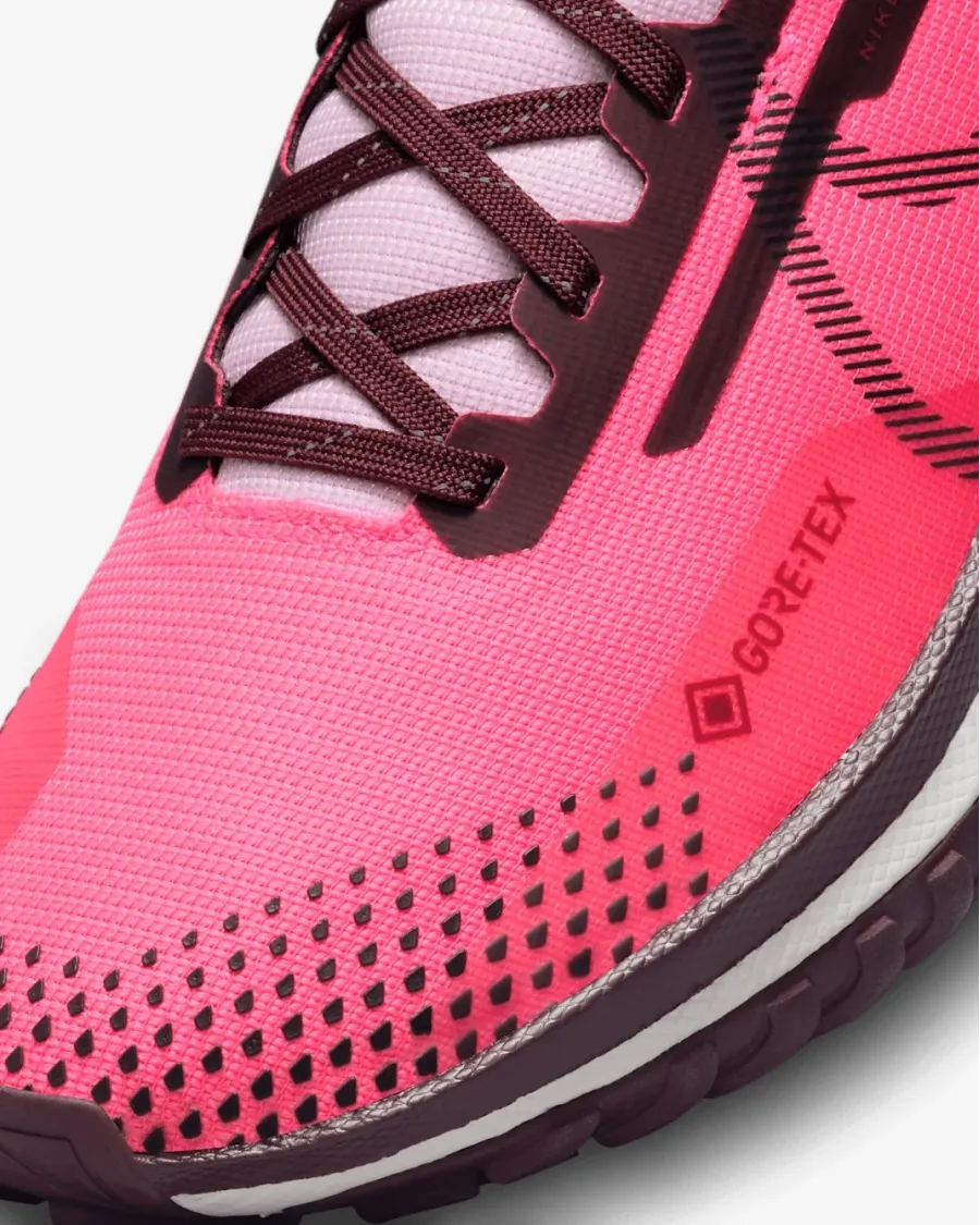 Кросівки Nike Pegasus Trail 4 Gore-Tex FN7769-600
