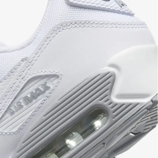 Кросівки Nike Air Max 90 Jewel FN8005-100