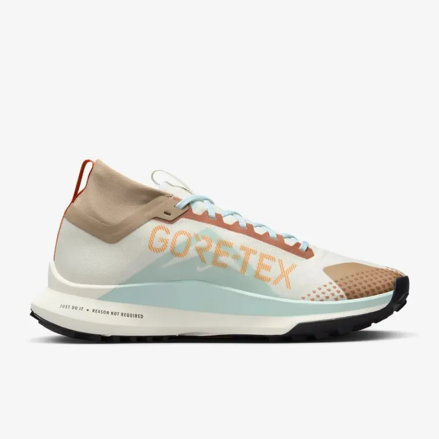 Кросівки Nike Pegasus Trail 4 Gore-Tex FN8886-181