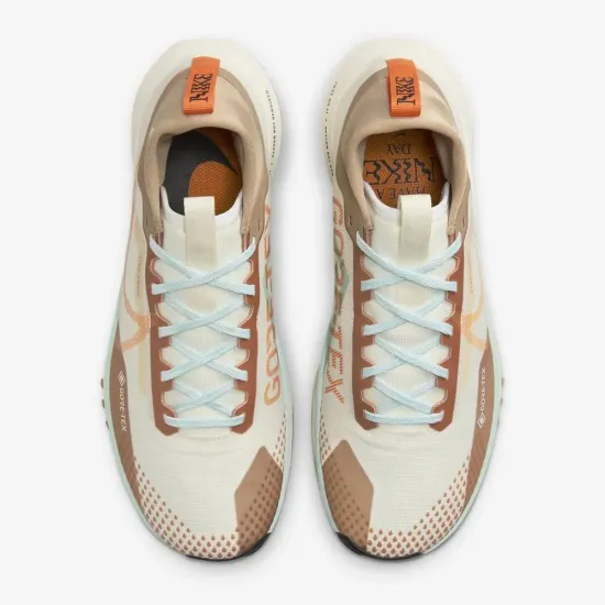 Кросівки Nike Pegasus Trail 4 Gore-Tex FN8886-181
