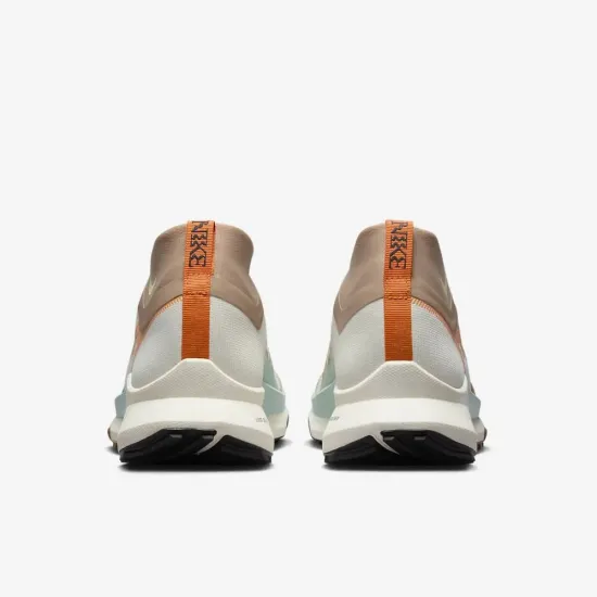 Кросівки Nike Pegasus Trail 4 Gore-Tex FN8886-181