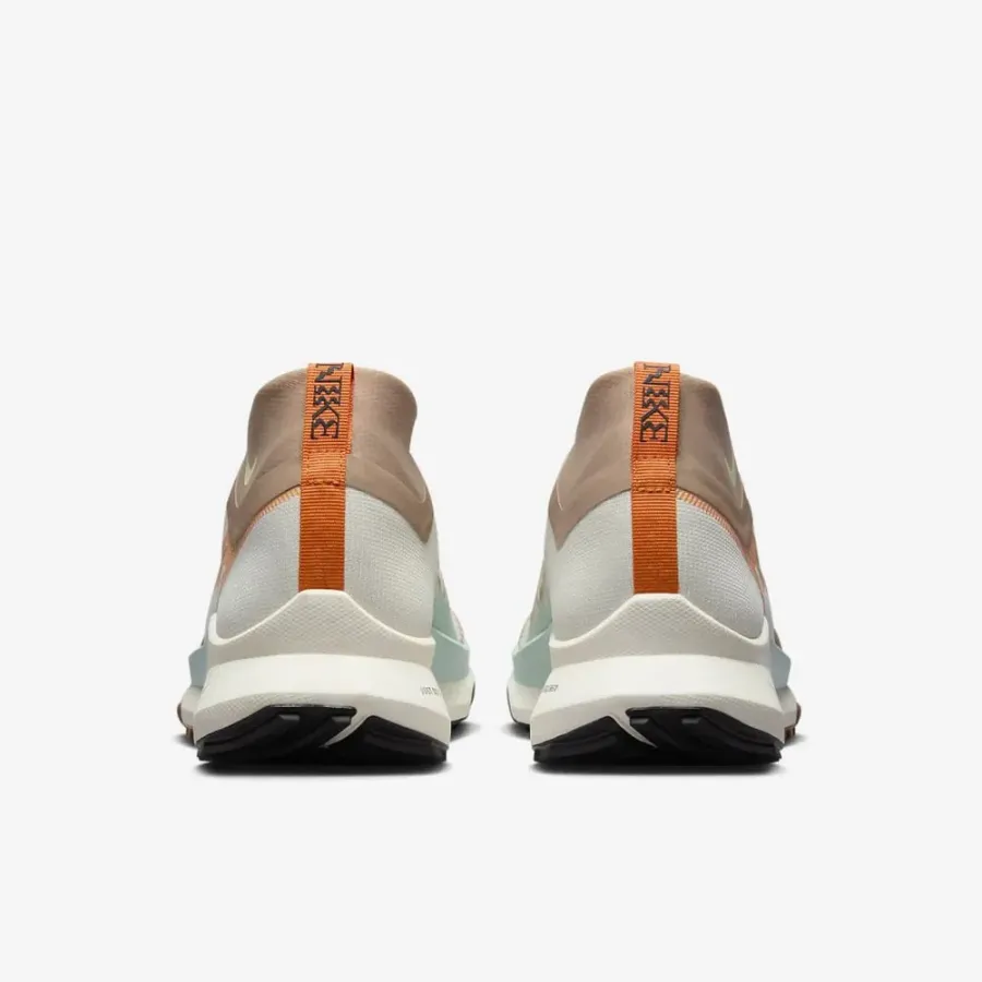 Кросівки Nike Pegasus Trail 4 Gore-Tex FN8886-181