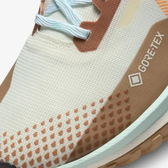 Кросівки Nike Pegasus Trail 4 Gore-Tex FN8886-181