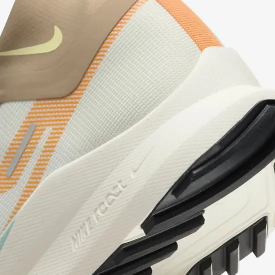 Кросівки Nike Pegasus Trail 4 Gore-Tex FN8886-181