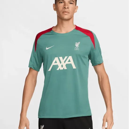 Футболка Nike Liverpool FC Strike Dri-FIT FN9838-362