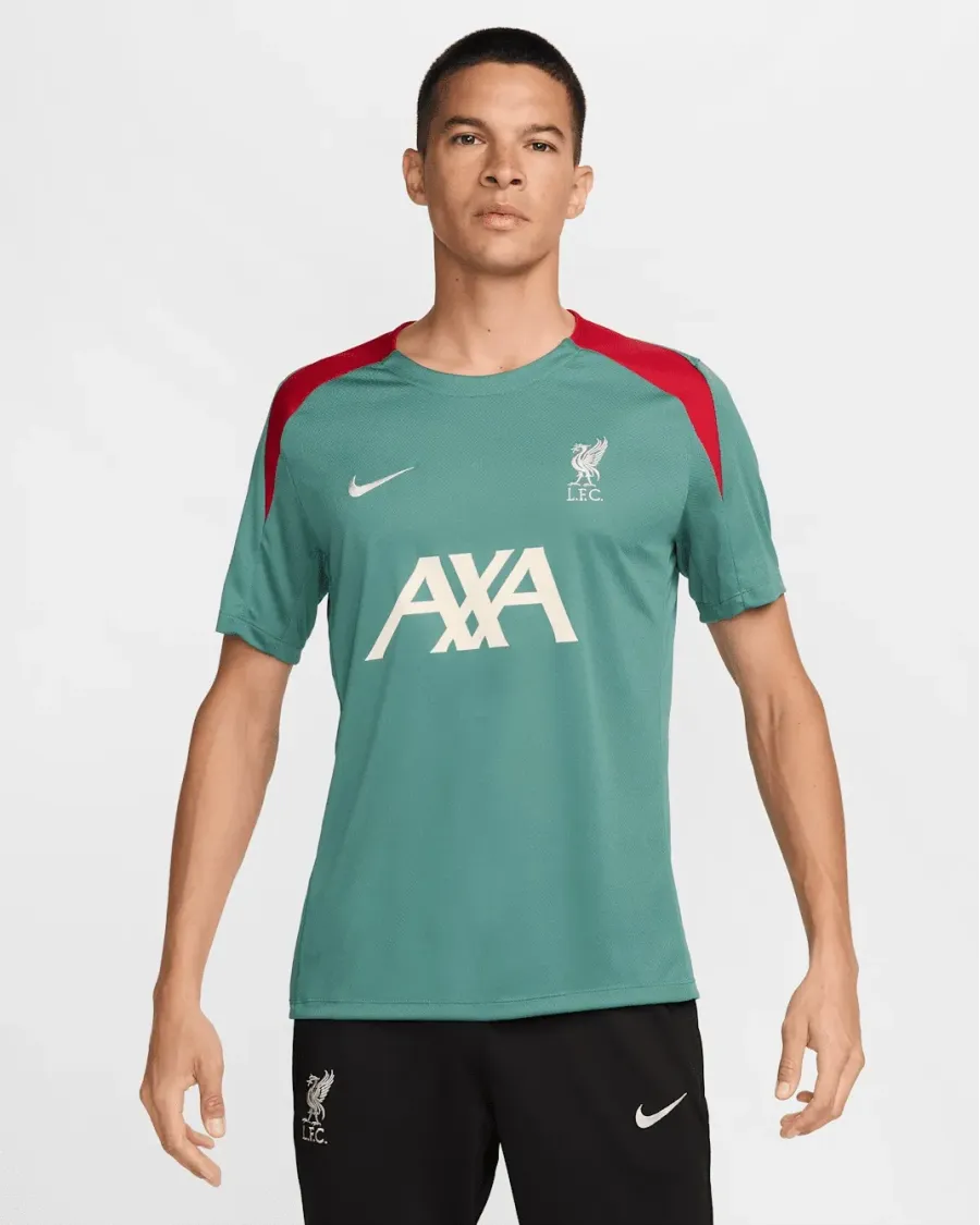 Футболка Nike Liverpool FC Strike Dri-FIT FN9838-362