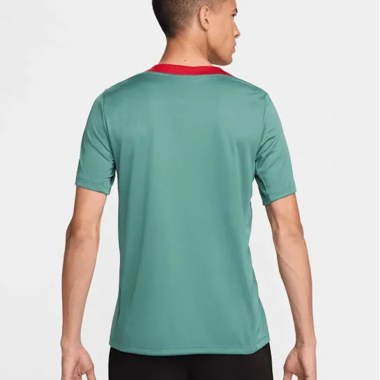 Футболка Nike Liverpool FC Strike Dri-FIT FN9838-362