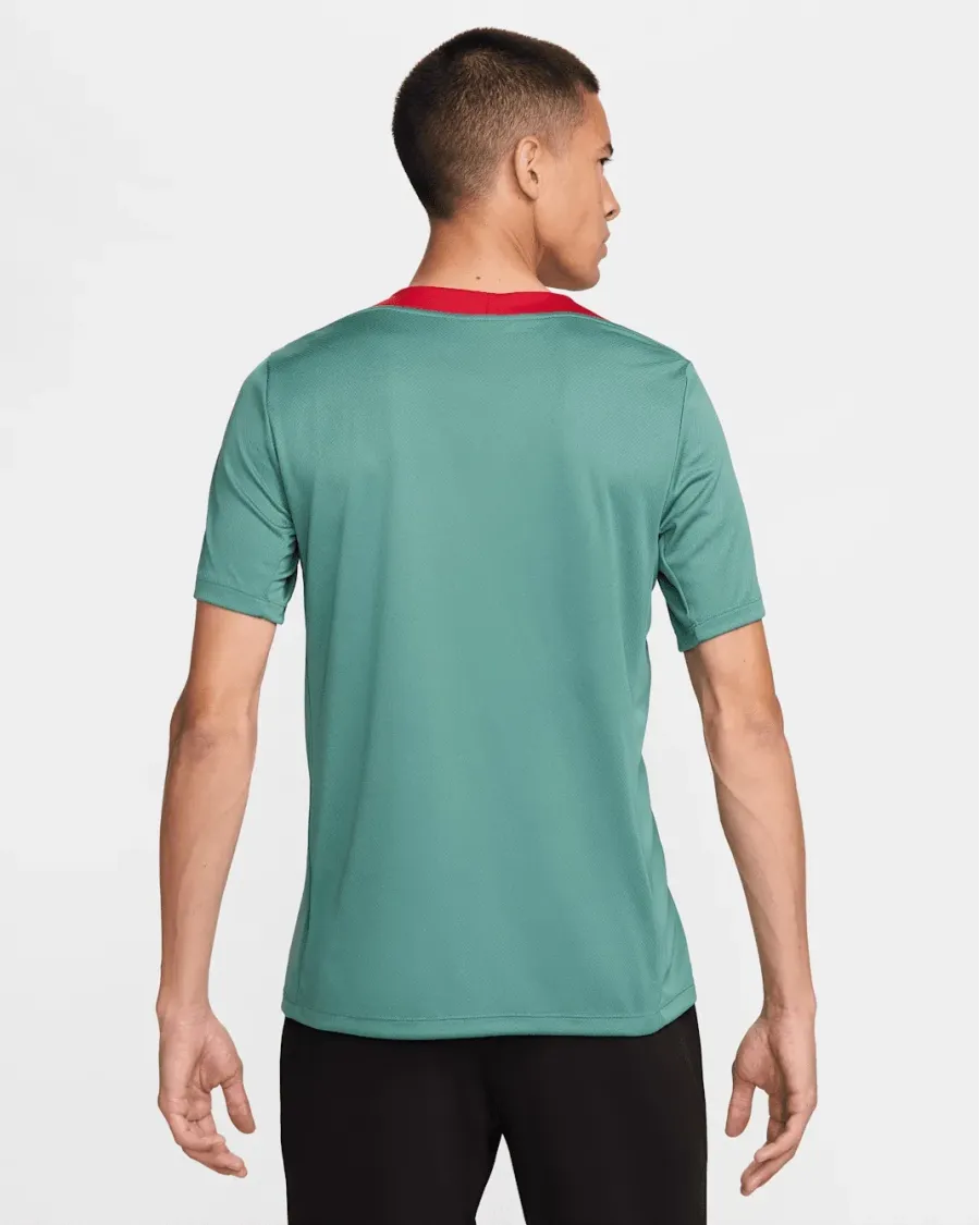 Футболка Nike Liverpool FC Strike Dri-FIT FN9838-362