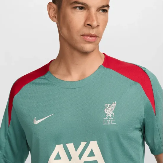 Футболка Nike Liverpool FC Strike Dri-FIT FN9838-362