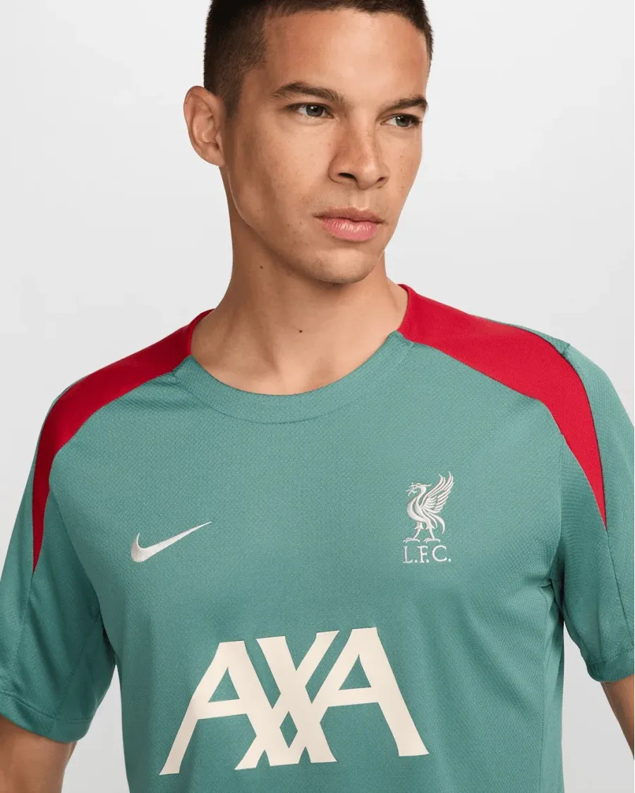 Футболка Nike Liverpool FC Strike Dri-FIT FN9838-362