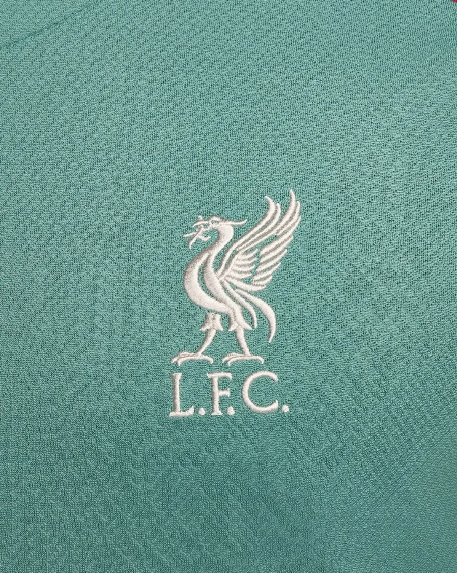Футболка Nike Liverpool FC Strike Dri-FIT FN9838-362
