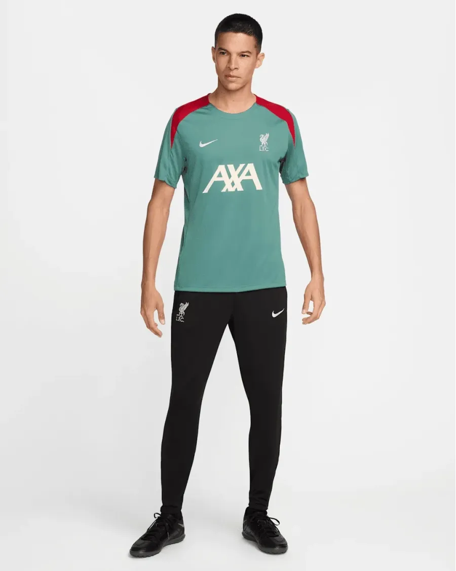 Футболка Nike Liverpool FC Strike Dri-FIT FN9838-362