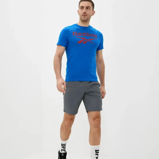 Футболка Reebok Ri Big Logo Tee FP9149