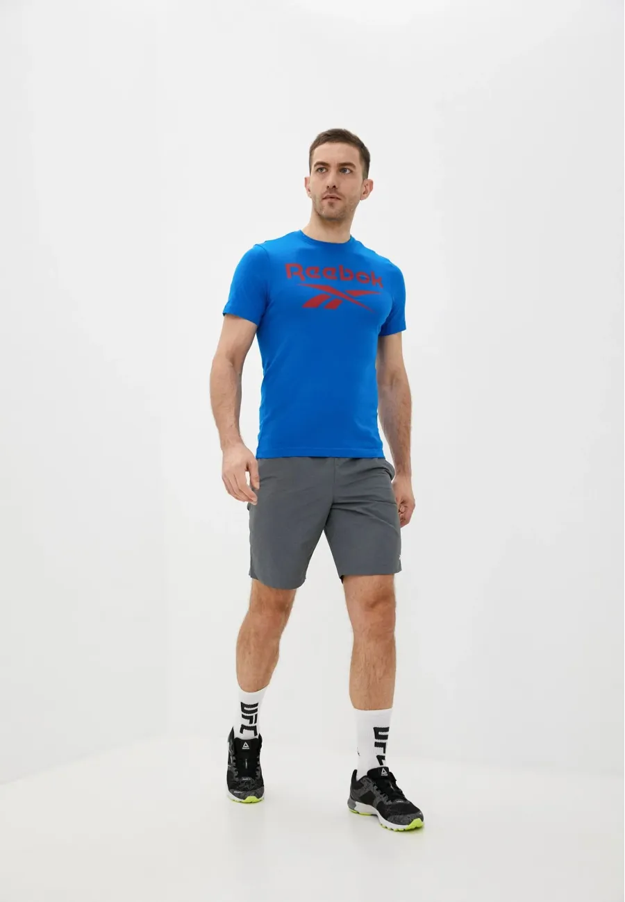 Футболка Reebok Ri Big Logo Tee FP9149
