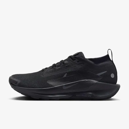 Кросівки Nike Pegasus Trail 5 Gore-Tex FQ0908-002