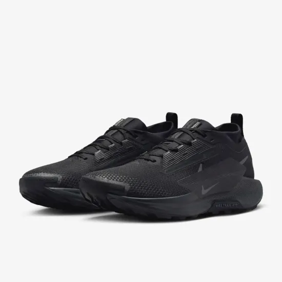 Кросівки Nike Pegasus Trail 5 Gore-Tex FQ0908-002