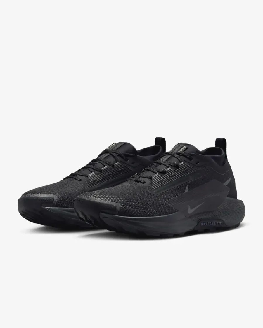 Кросівки Nike Pegasus Trail 5 Gore-Tex FQ0908-002