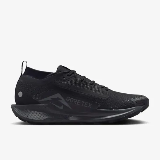 Кросівки Nike Pegasus Trail 5 Gore-Tex FQ0908-002