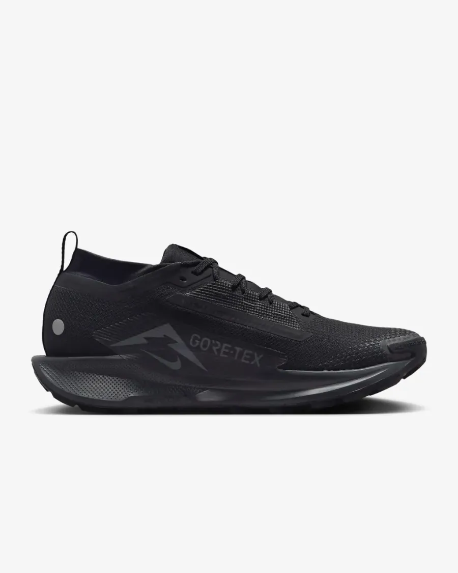 Кросівки Nike Pegasus Trail 5 Gore-Tex FQ0908-002