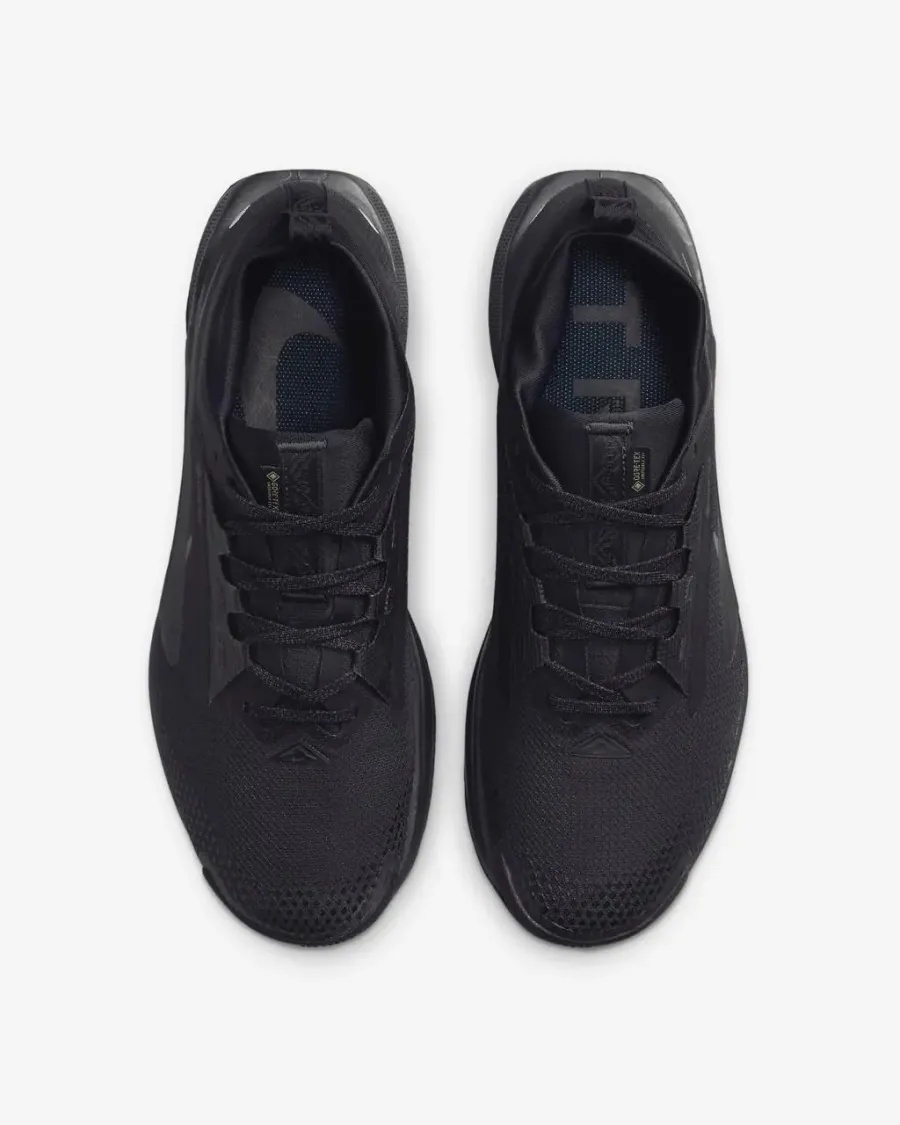Кросівки Nike Pegasus Trail 5 Gore-Tex FQ0908-002