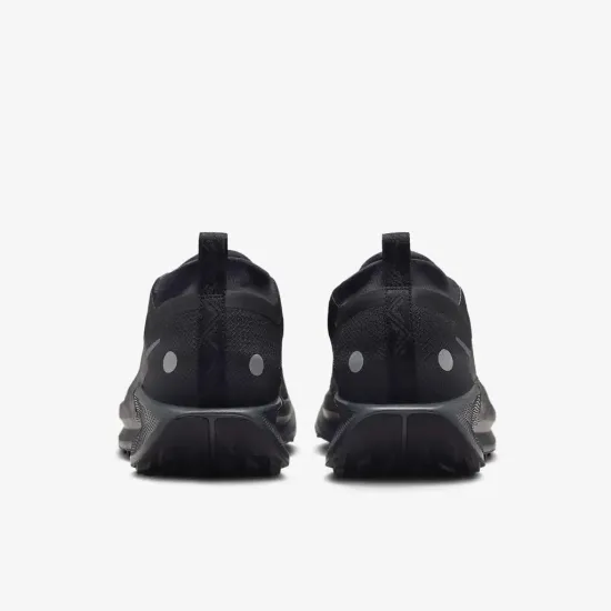 Кросівки Nike Pegasus Trail 5 Gore-Tex FQ0908-002