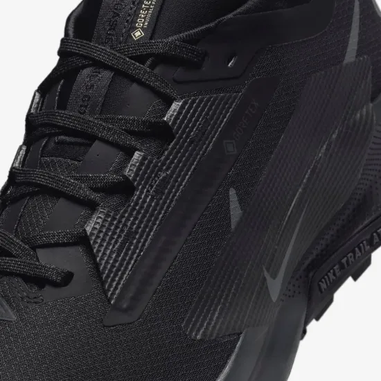 Кросівки Nike Pegasus Trail 5 Gore-Tex FQ0908-002