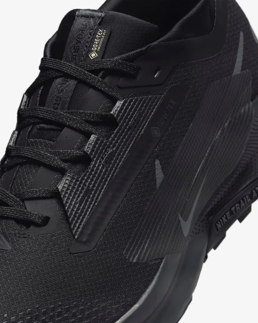 Кросівки Nike Pegasus Trail 5 Gore-Tex FQ0908-002