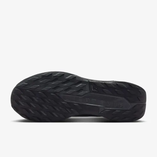 Кросівки Nike Pegasus Trail 5 Gore-Tex FQ0908-002