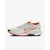 Кросівки Nike Pegasus Trail 5 Gore-Tex FQ0908-003