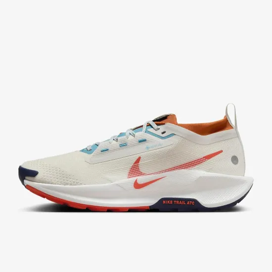 Кросівки Nike Pegasus Trail 5 Gore-Tex FQ0908-003