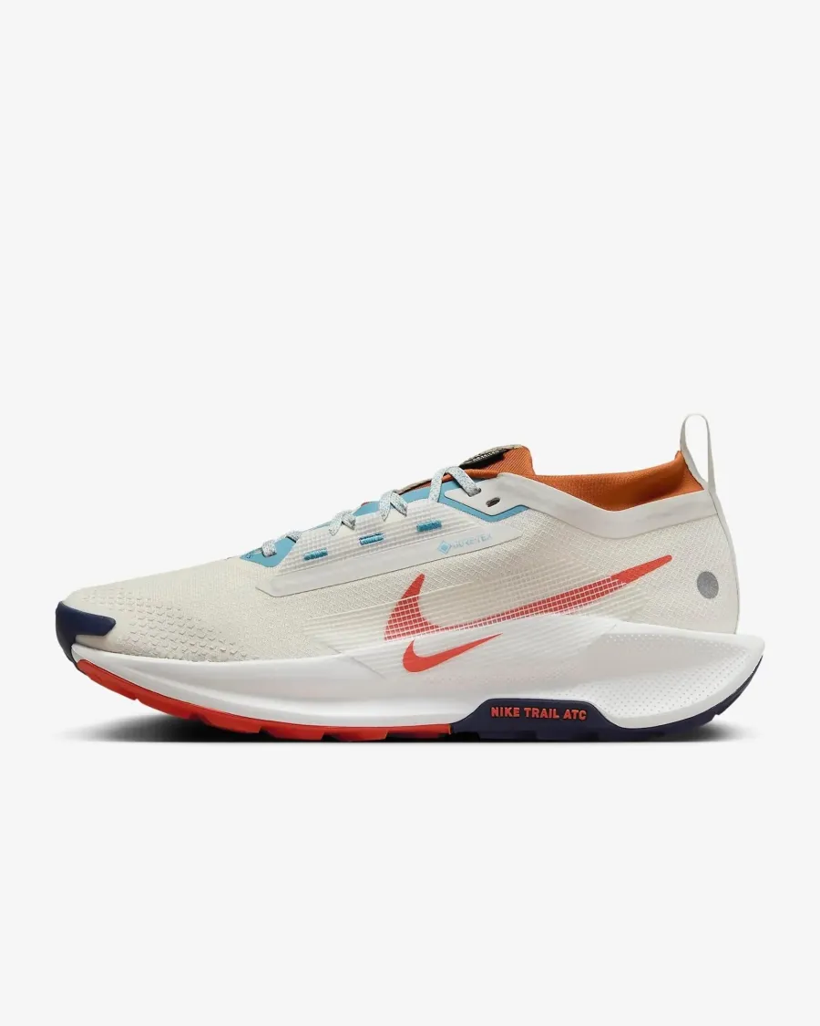Кросівки Nike Pegasus Trail 5 Gore-Tex FQ0908-003