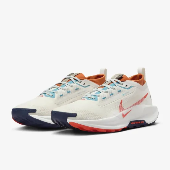 Кросівки Nike Pegasus Trail 5 Gore-Tex FQ0908-003