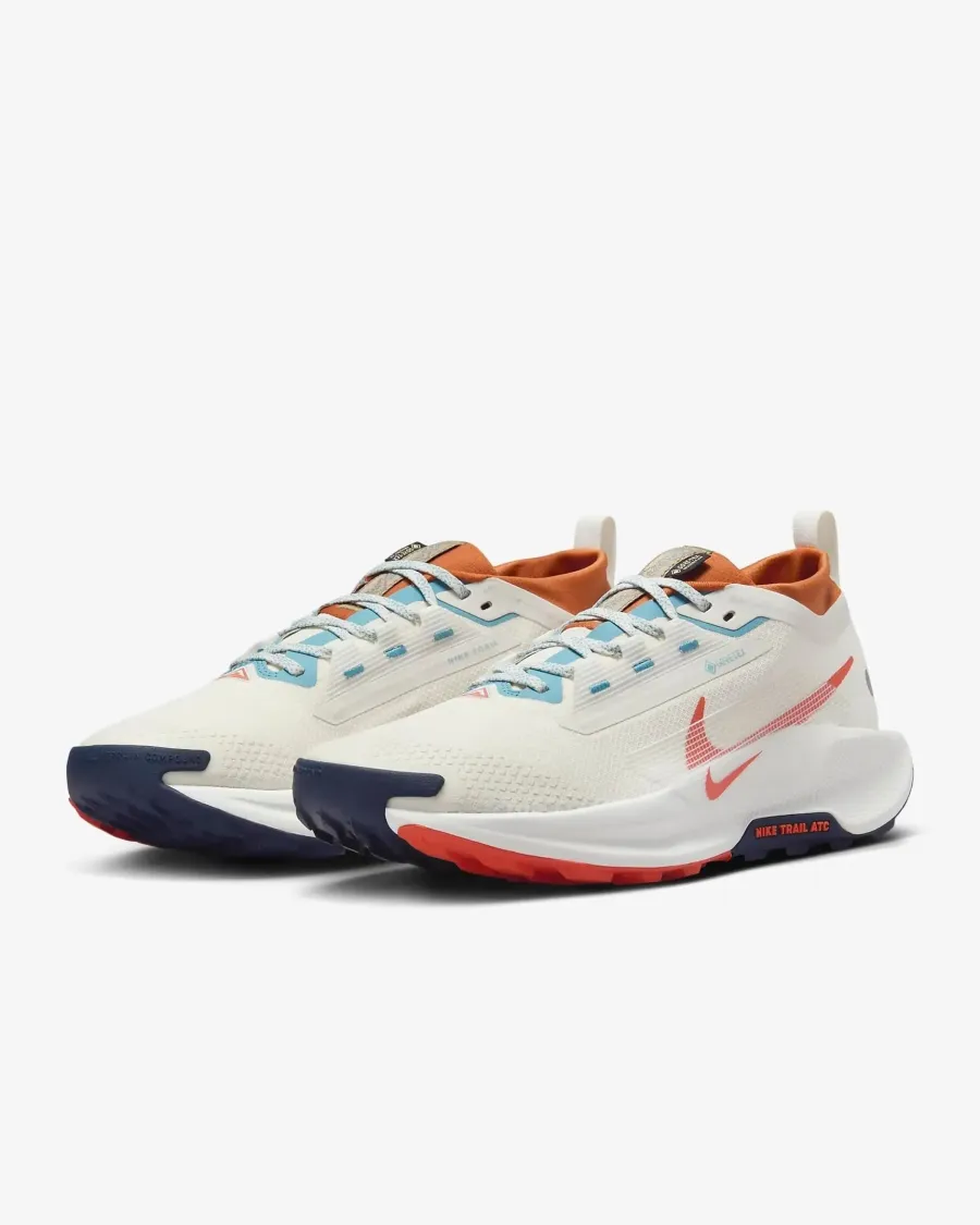 Кросівки Nike Pegasus Trail 5 Gore-Tex FQ0908-003