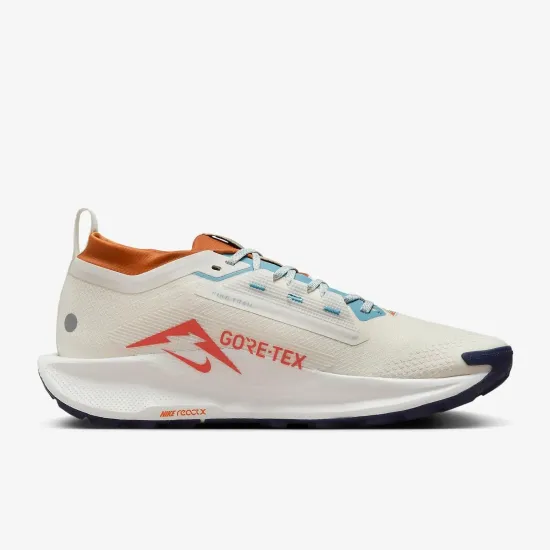 Кросівки Nike Pegasus Trail 5 Gore-Tex FQ0908-003
