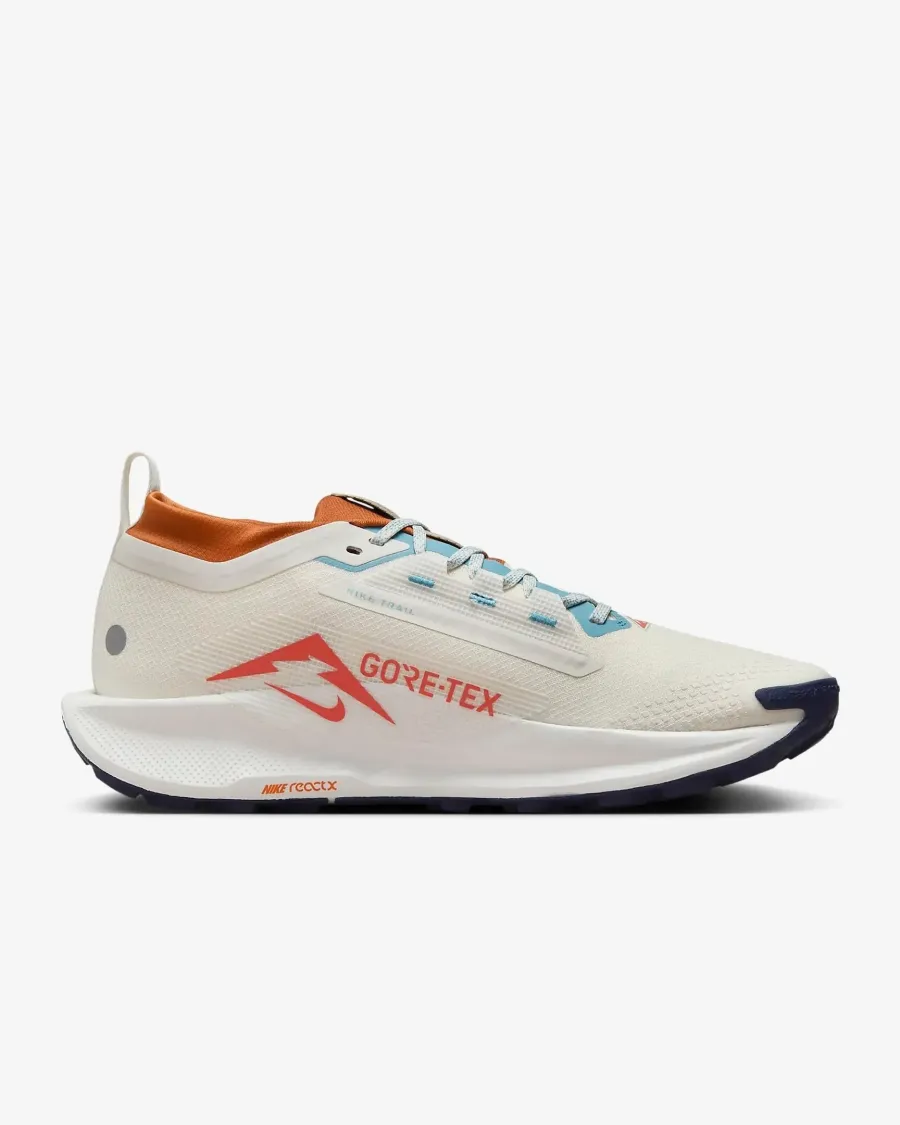 Кросівки Nike Pegasus Trail 5 Gore-Tex FQ0908-003