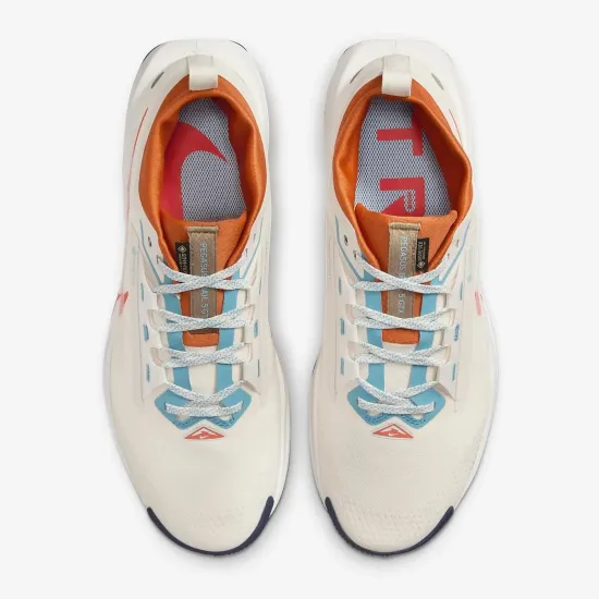 Кросівки Nike Pegasus Trail 5 Gore-Tex FQ0908-003