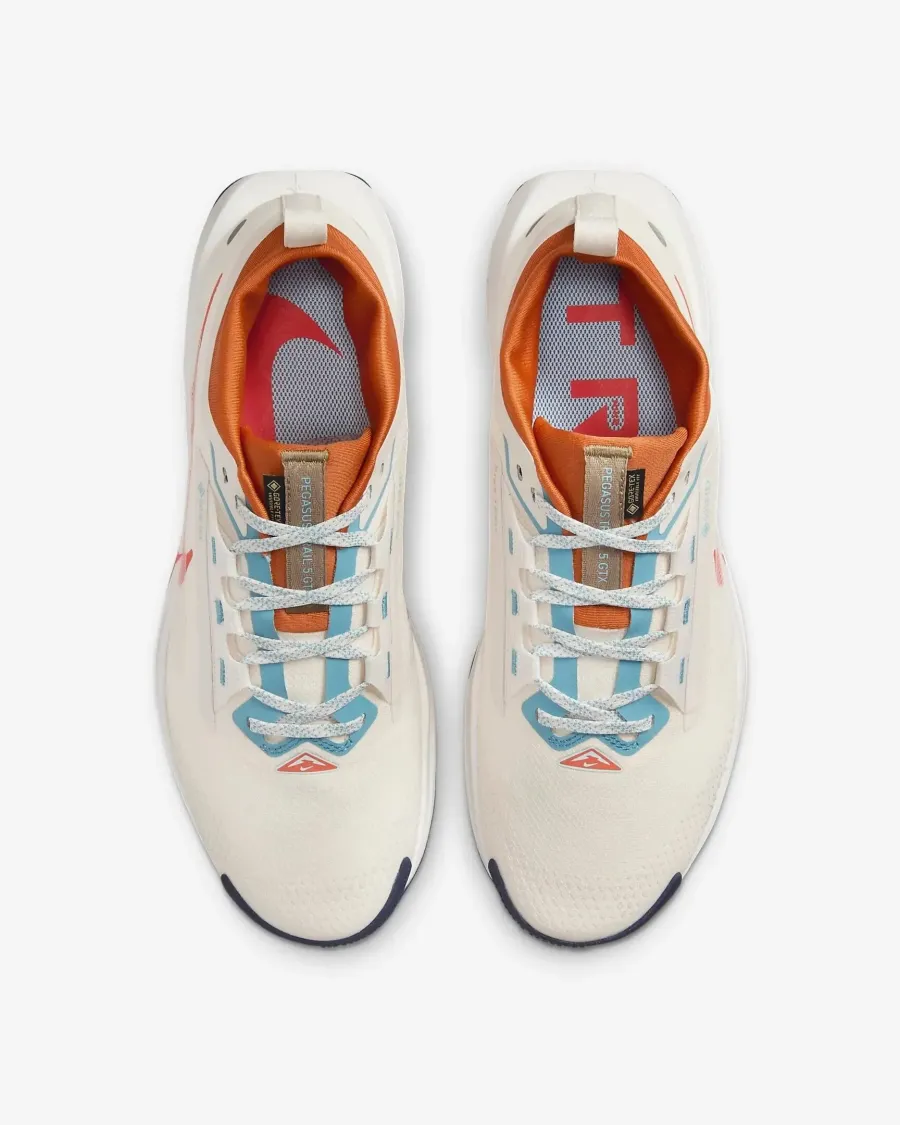 Кросівки Nike Pegasus Trail 5 Gore-Tex FQ0908-003