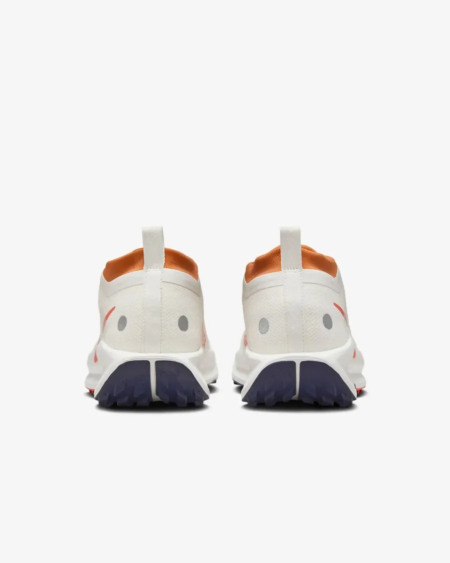 Кросівки Nike Pegasus Trail 5 Gore-Tex FQ0908-003