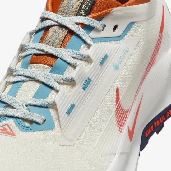 Кросівки Nike Pegasus Trail 5 Gore-Tex FQ0908-003