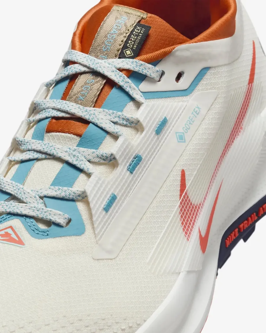 Кросівки Nike Pegasus Trail 5 Gore-Tex FQ0908-003