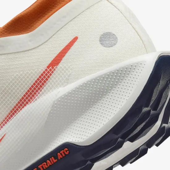 Кросівки Nike Pegasus Trail 5 Gore-Tex FQ0908-003
